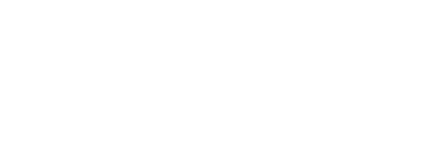 strapi-small