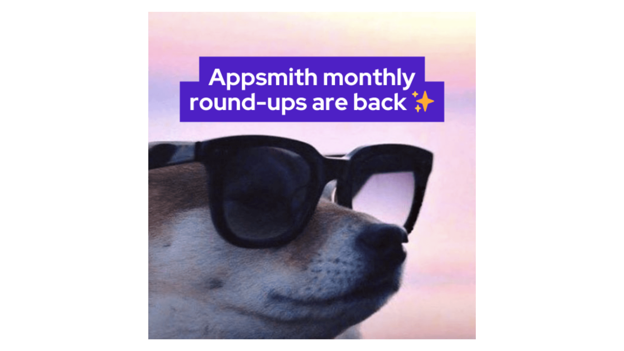 An image of a dog and a phrase.
