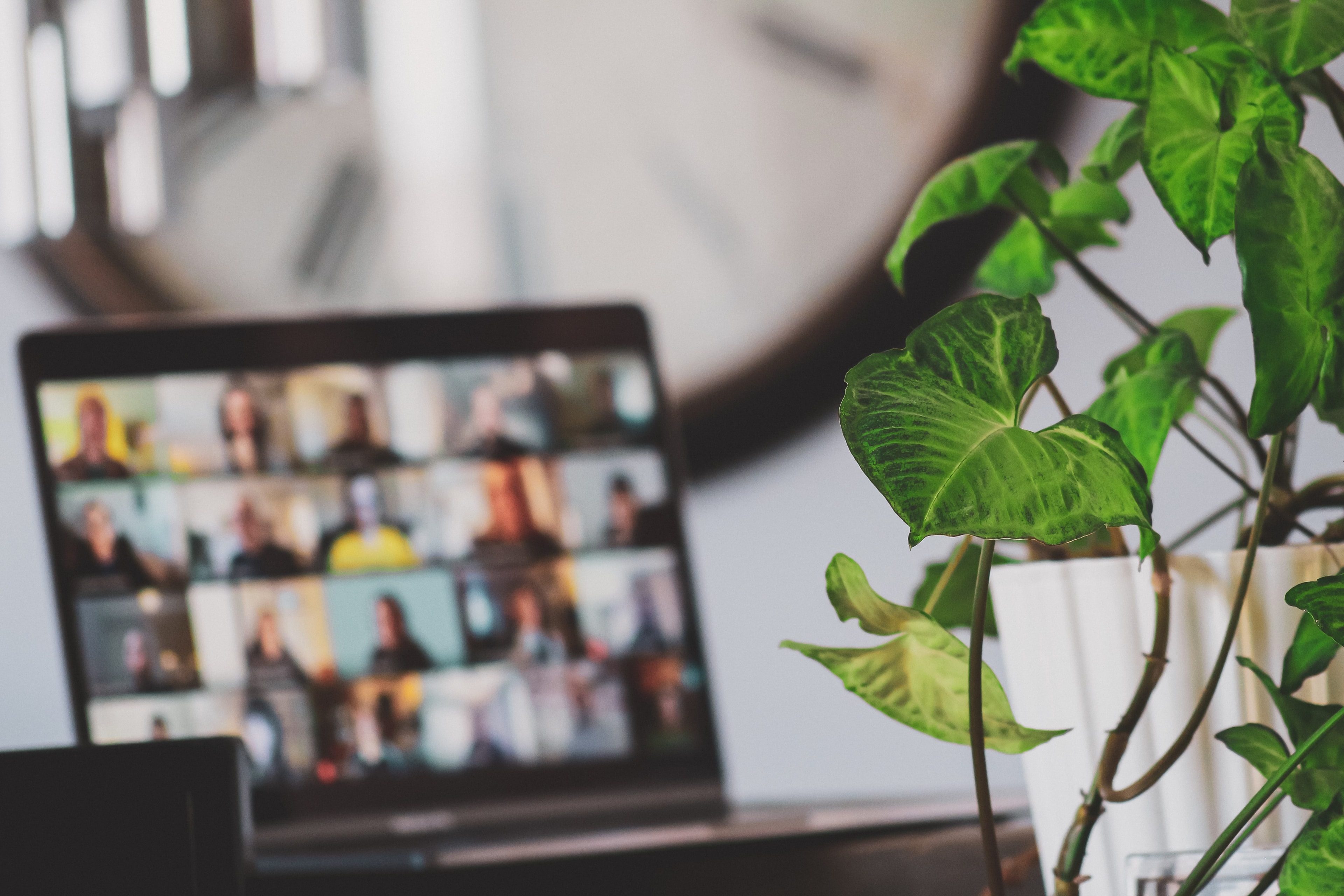 SEO | Appsmith's Remote Working Guide