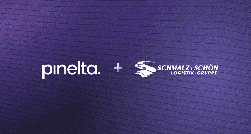 PINELTA-S case study